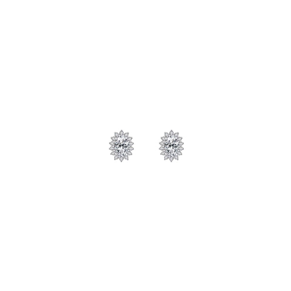 Oval Moisanite Halo Studs